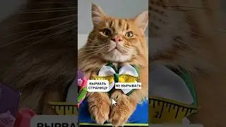 Помогите сделать выбор 