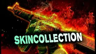 HOWL crazy story | Very Rare Skin in CSGO | FlickShoter