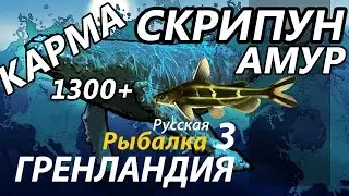 Скрипун Амур карма/ РР3 [Русская Рыбалка 3 Гренландия]