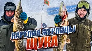▶️ЖОР ЩУКИ/🎣РЫБАЛКА НА ЖЕРЛИЦЫ/ОЗЕРО В КАРЕЛИИ🌲FISHING REGION 29🌍#карелия#рыбалка#щука#жерлицы