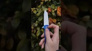 Polished Protech Malibu!