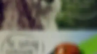 Комиксы ледибаг
