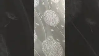 Белая берёза...   Люксон - цветущий сад🌻🌼🌷 #обои