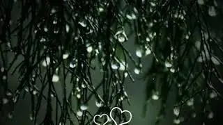 Etho..Mazhayil__#Whatsapp#Status