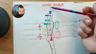 Кратко о структуре родовой энергии.