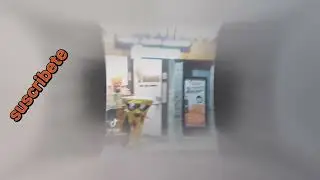 Ella quiere que la ponga en 4 como la perra que es cunumi