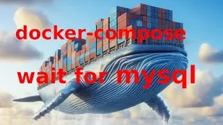 Docker-compose wait untill mysql database is running