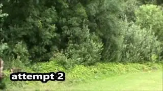 Bush Flip Challenge