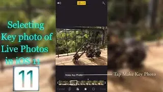 How to select Key Photo of Live Photos in iOS 11 | Day 1 @ iOS 11 Updates