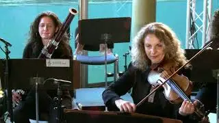 Rimski-Korsakow Hummelflug | Berliner Symphoniker | OverTiere | flight of the bumblebee