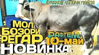 МОЛ БОЗОР РЕГАР / ТАДЖИКИСТАН / НАРХОИ БУКАХОИ КАЛОНИ МАЙДА / МОЛ БОЗОРИ ПАХТООБОД 10-МАЙ