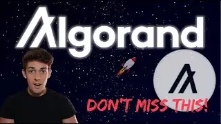 Algorand Update! DON'T MISS THIS