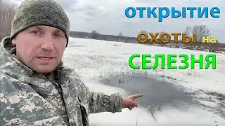 ОТКРЫТИЕ ВЕСЕННИЙ ОХОТЫ на СЕЛЕЗНЯ