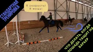 Новая, но очень хорошая лошадка. Что делать, если лошадь тащит на барьер!?
