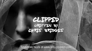 Chris Bridges Beats - Clipped