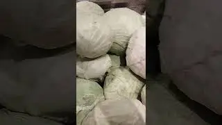 Белокочанная капуста.Цена.Магазин Сильпо