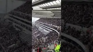 Newcastle fans before the West Ham game⚒️