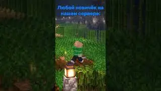 Любой новичок на PfauMC #minecraft #vanilla #майнкрафт_сервер #anarchyserver #shortvideo #mem #short