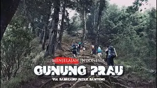 Gunung Prau | via Patak Banteng 2022 #praumountain