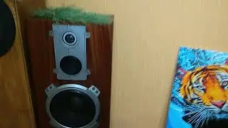 Амфитон 35АС-018