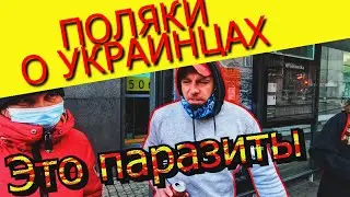 Соцопрос поляков, ты удивишься. ЧТО ДУМАЕТ ПОЛЬСКИЙ НАРОД О УКРАИНЦАХ?