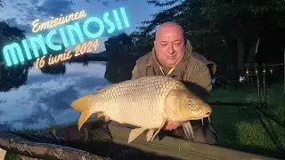 Mincinoșii - 16 iunie 2024