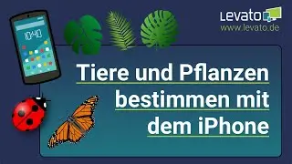 Levato.de | Tiere und Pflanzen bestimmen mit der Fotos-App am iPhone