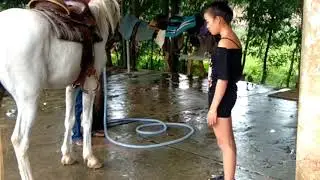 A Cute Girl And A Horse   how To Teach Your Horse Lay Down 