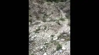 Наша ферма в гимрах