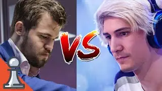 Magnus Carlsen Age 30 vs xQc Félix Lengyel (Streamer)