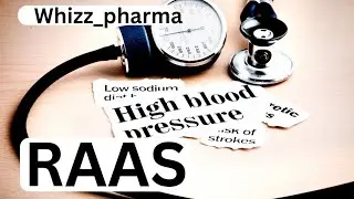 Renin Angiotensin Aldosterone system (RAAS)