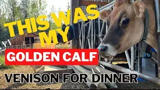 This Was My Golden Calf