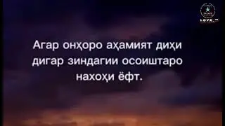 🤦‍♂️Бо гапи дигарон, Зиндаги макун🙅‍♂️! Доимо бо акли Худ кор кун!