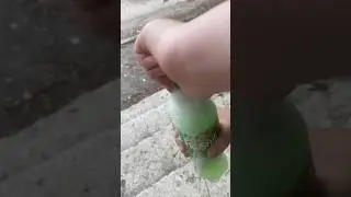 Обзор на frustile  киви кактус 