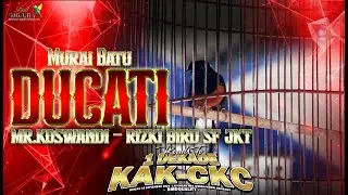 DURASI KERJA FULL DARI AWAL HINGGA AKHIR ❗❗ MURAI BATU DUCATI DI ROAD TO 1 DEKADE KAK FT CKC