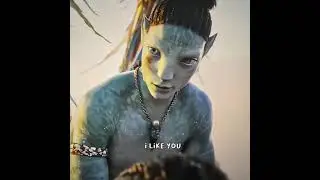 THEY 