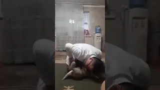 Нәрестеге ЖӨР