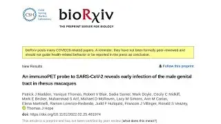 Male genital tract infection with SARS-Cov-2 (macaques)