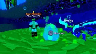 Dragon Adventures 