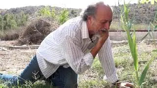 Rafael Lozano - Elegía a Ramón Sijé