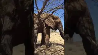 Anachukua anaweka waaah!!!