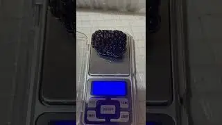 Спеет ремонтантная ежевика.