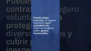 ¿Sabes cuáles son los seguros voluntarios?