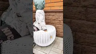 #мебельизротанга