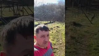 Результаты строительства теплицы