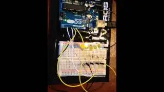 Blinking Multiple LED lights in Arduino