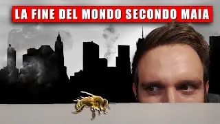Be(e) the Future - L'importanza delle api