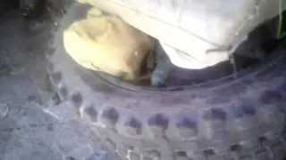 днепр 16 , на газу,ГБО