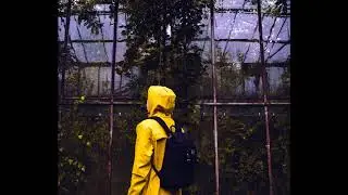 Timeflies - Raincoat (ft. Shy Martin) Ashworth Remix + Original [SELF EDIT]