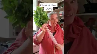 Are We Becoming Celery Farmers? | Chinese Pink Celery #shorts #growyourownfood #gardening #harvest